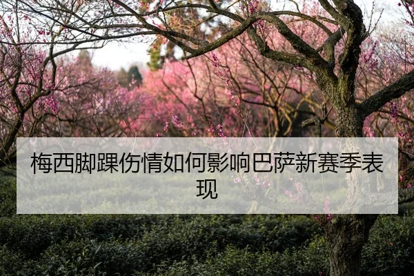 梅西脚踝伤情如何影响巴萨新赛季表现
